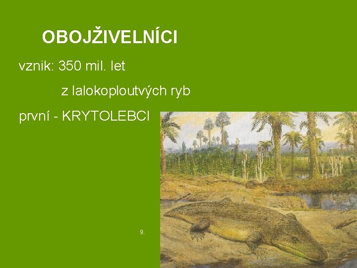 OBOJŽIVELNÍCI vznik: 350 mil. let z lalokoploutvých ryb první - KRYTOLEBCI 9. 