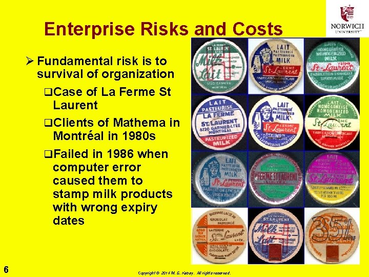 Enterprise Risks and Costs Ø Fundamental risk is to survival of organization q. Case