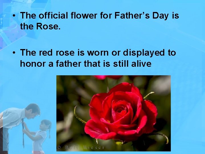  • The official flower for Father’s Day is the Rose. • The red