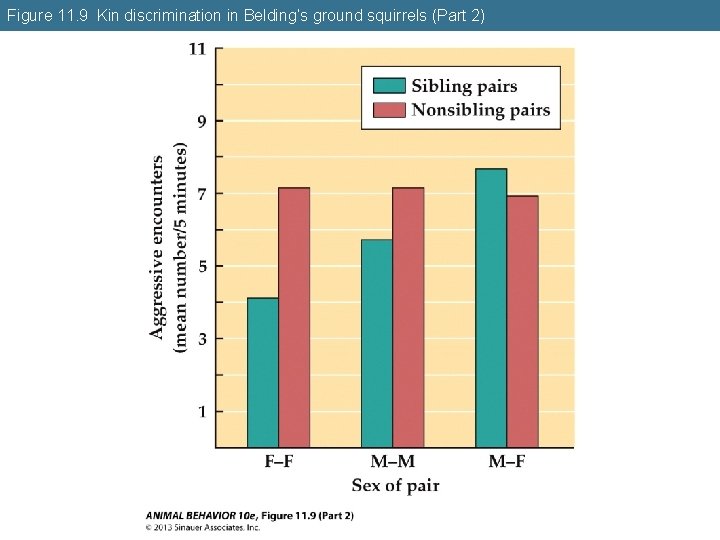 Figure 11. 9 Kin discrimination in Belding’s ground squirrels (Part 2) 