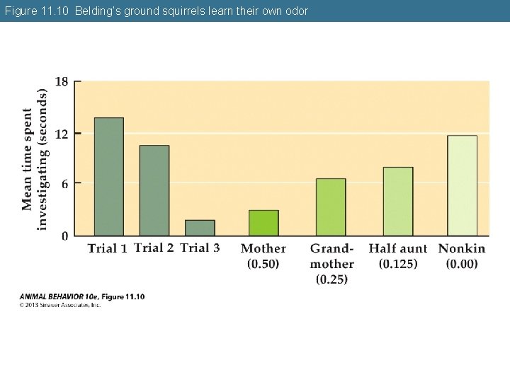Figure 11. 10 Belding’s ground squirrels learn their own odor 