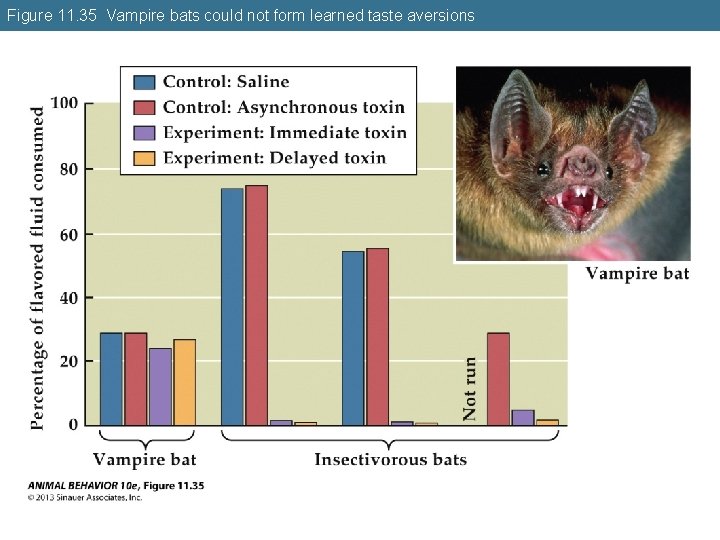 Figure 11. 35 Vampire bats could not form learned taste aversions 