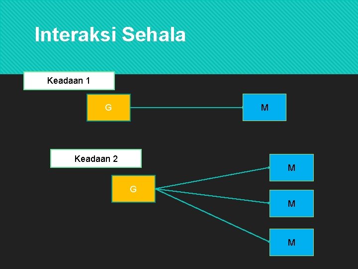 Interaksi Sehala Keadaan 1 G M Keadaan 2 M G M M 