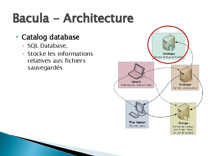 Bacula - Architecture Catalog database ◦ SQL Database, ◦ Stocke les informations relatives aux