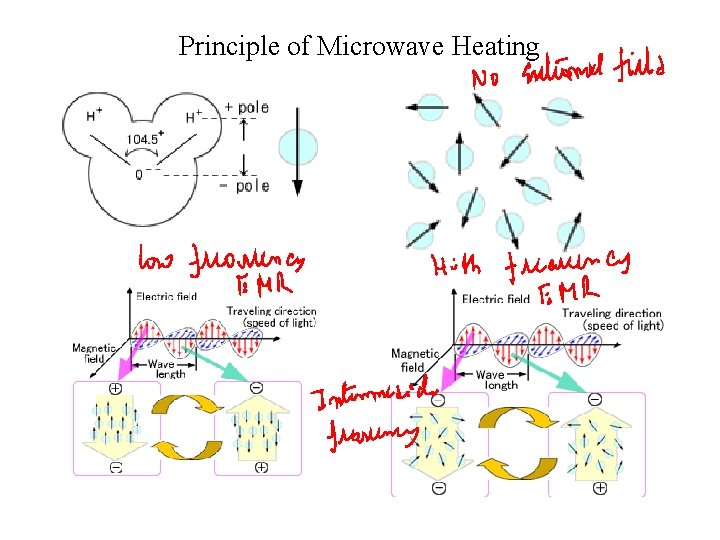 Principle of Microwave Heating 