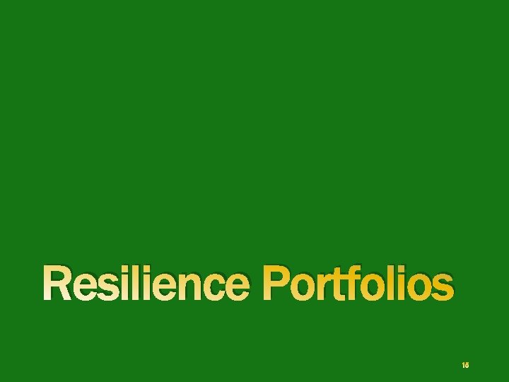 Resilience Portfolios 