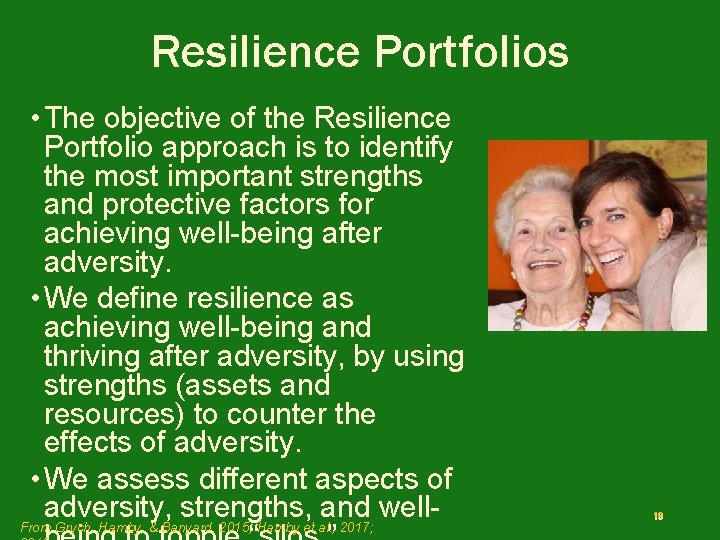 Resilience Portfolios • The objective of the Resilience Portfolio approach is to identify the