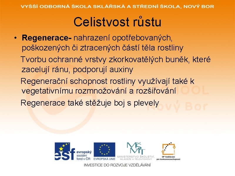Celistvost růstu • Regenerace- nahrazení opotřebovaných, poškozených či ztracených částí těla rostliny Tvorbu ochranné