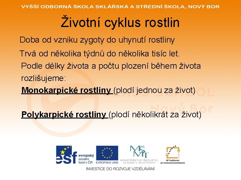 Životní cyklus rostlin Doba od vzniku zygoty do uhynutí rostliny Trvá od několika týdnů