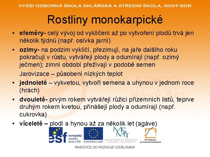 Rostliny monokarpické • efeméry- celý vývoj od vyklíčení až po vytvoření plodů trvá jen