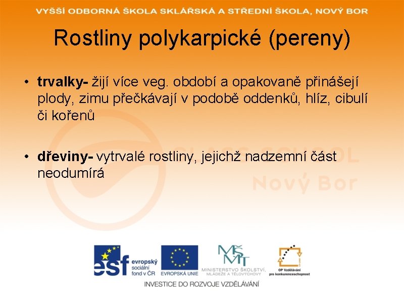 Rostliny polykarpické (pereny) • trvalky- žijí více veg. období a opakovaně přinášejí plody, zimu