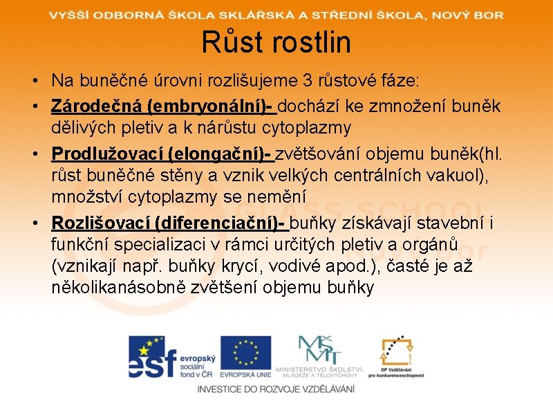 Růst rostlin • Na buněčné úrovni rozlišujeme 3 růstové fáze: • Zárodečná (embryonální)- dochází