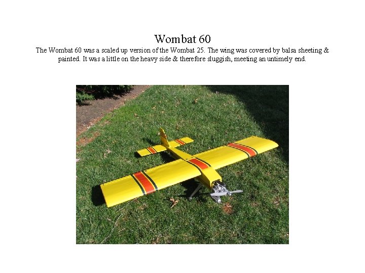 Wombat 60 The Wombat 60 was a scaled up version of the Wombat 25.