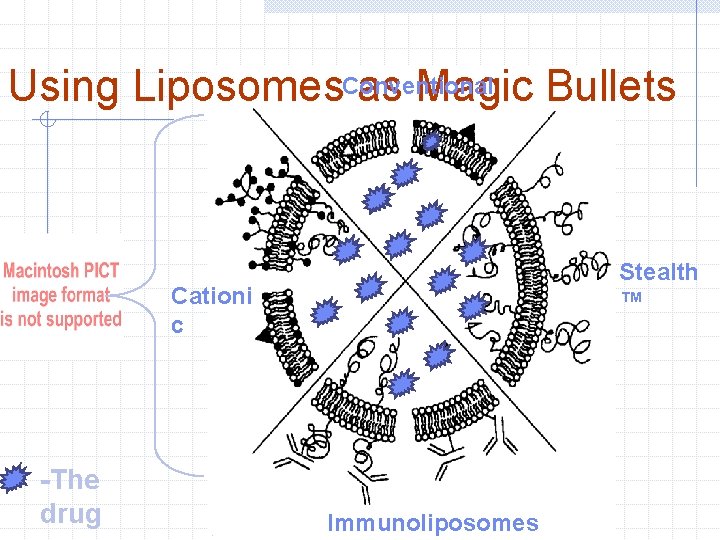 Using Liposomes. Conventional as Magic Bullets Stealth ™ Cationi c -The drug Immunoliposomes 