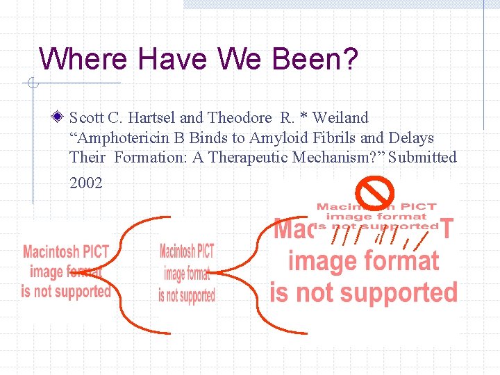 Where Have We Been? Scott C. Hartsel and Theodore R. * Weiland “Amphotericin B