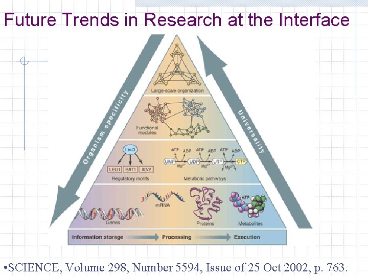 Future Trends in Research at the Interface • SCIENCE, Volume 298, Number 5594, Issue