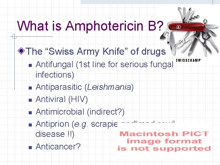 What is Amphotericin B? The “Swiss Army Knife” of drugs n n n Antifungal