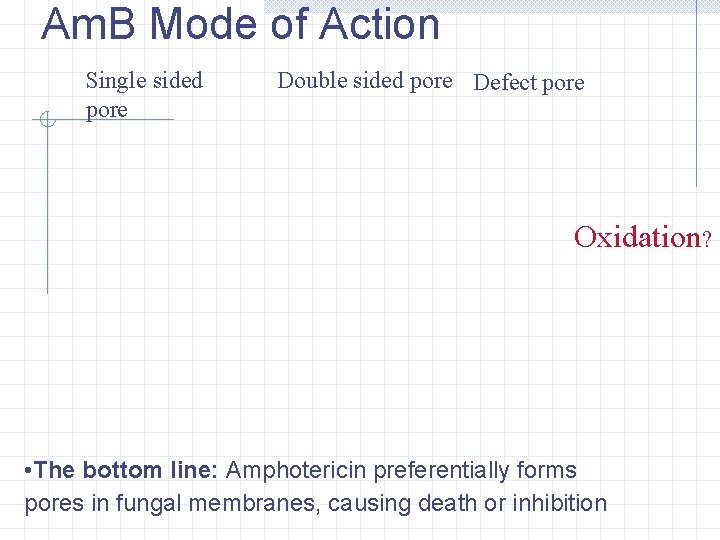 Am. B Mode of Action Single sided pore Double sided pore Defect pore Oxidation?