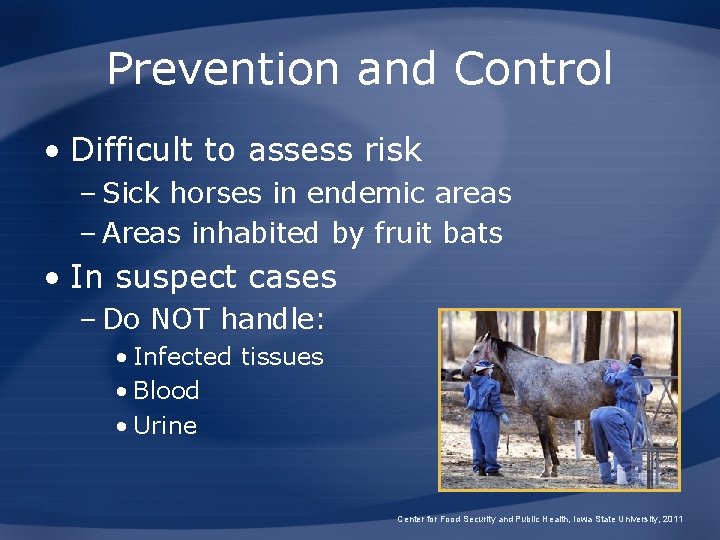 Prevention and Control • Difficult to assess risk – Sick horses in endemic areas