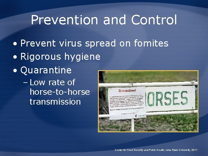 Prevention and Control • Prevent virus spread on fomites • Rigorous hygiene • Quarantine