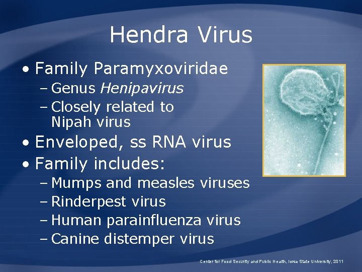 Hendra Virus • Family Paramyxoviridae – Genus Henipavirus – Closely related to Nipah virus