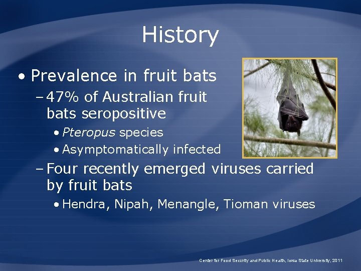 History • Prevalence in fruit bats – 47% of Australian fruit bats seropositive •