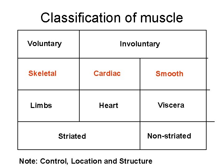 Classification of muscle Voluntary Involuntary Skeletal Cardiac Smooth Limbs Heart Viscera Striated Non-striated Note: