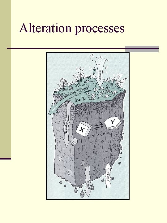 Alteration processes 