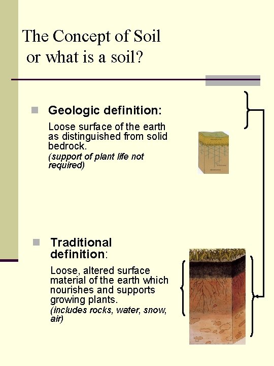 The Concept of Soil or what is a soil? n Geologic definition: Loose surface