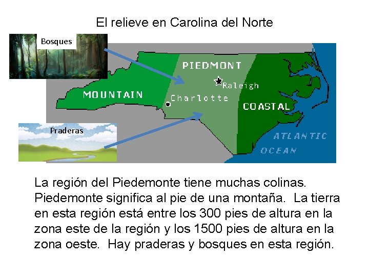 El relieve en Carolina del Norte Bosques Praderas La región del Piedemonte tiene muchas