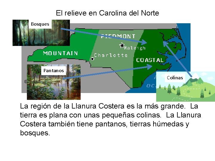 El relieve en Carolina del Norte Bosques Pantanos Colinas La región de la Llanura