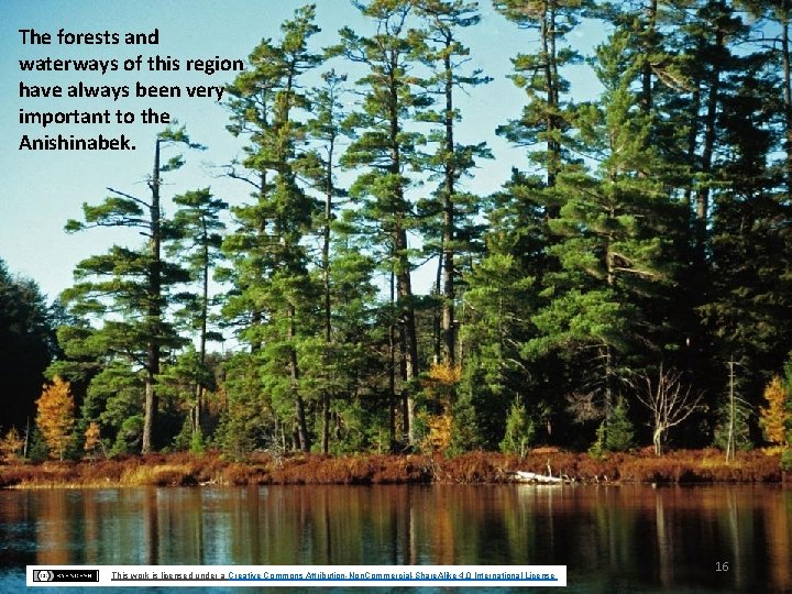 The forests and waterways of this region have always been very important to the