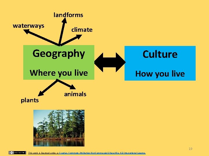 landforms waterways climate Geography Culture Where you live How you live plants animals 19