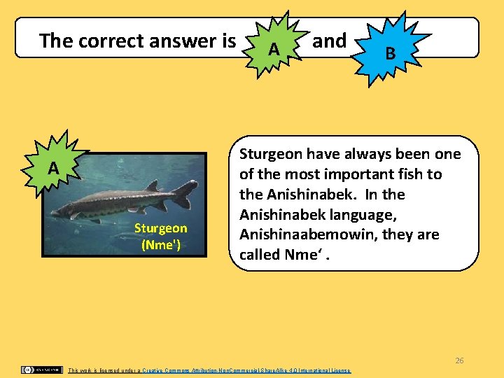 The correct answer is and A A Sturgeon (Nme') B Sturgeon have always been