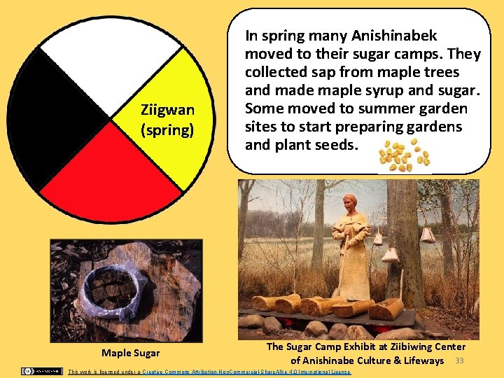 Ziigwan (spring) In spring many Anishinabek moved to their sugar camps. They collected sap