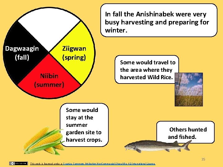 In fall the Anishinabek were very busy harvesting and preparing for winter. Dagwaagin (fall)
