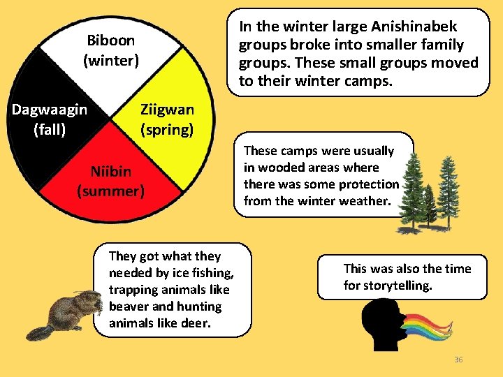 In the winter large Anishinabek groups broke into smaller family groups. These small groups