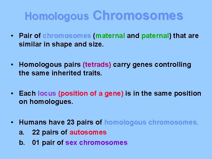 Homologous Chromosomes • Pair of chromosomes (maternal and paternal) paternal that are similar in