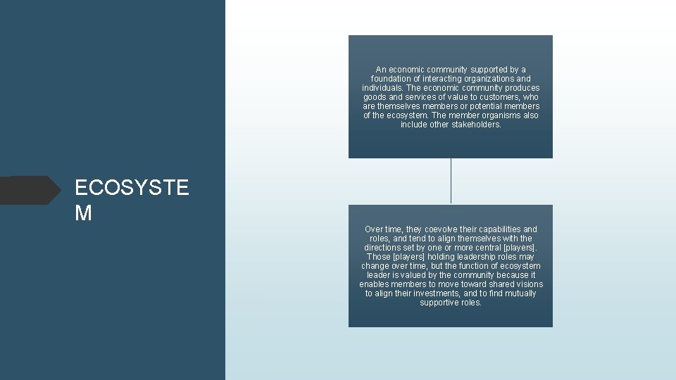 An economic community supported by a foundation of interacting organizations and individuals. The economic