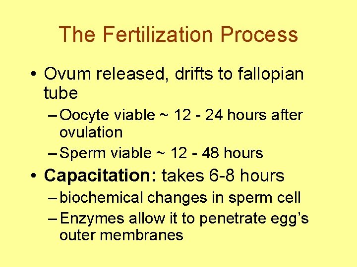 The Fertilization Process • Ovum released, drifts to fallopian tube – Oocyte viable ~