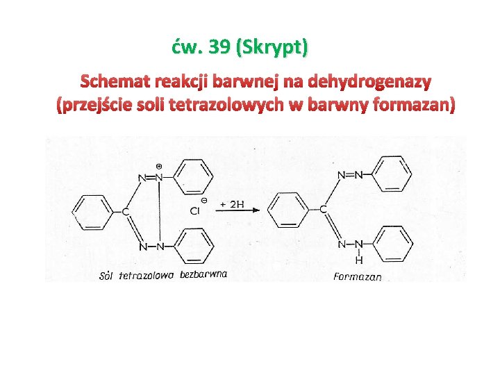 ćw. 39 (Skrypt) Schemat reakcji barwnej na dehydrogenazy (przejście soli tetrazolowych w barwny formazan)