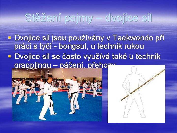 Stěžení pojmy – dvojice sil § Dvojice sil jsou používány v Taekwondo při práci