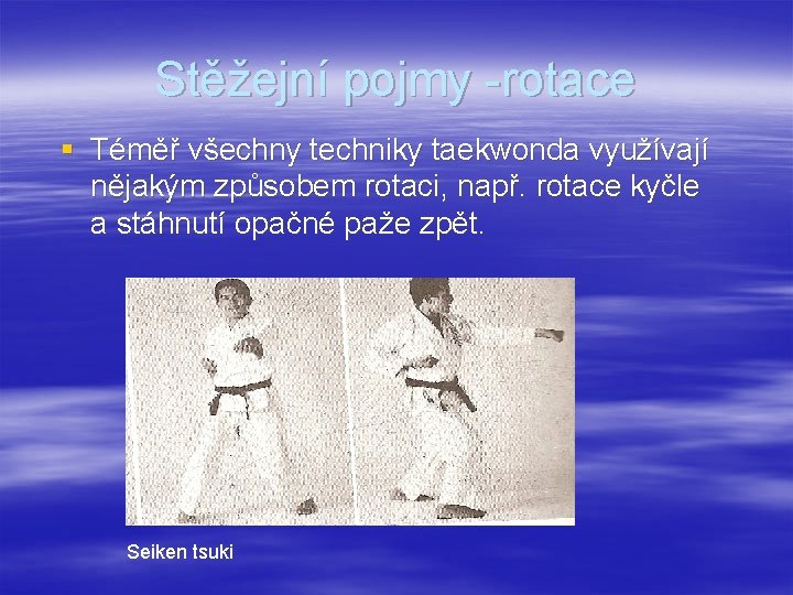 Stěžejní pojmy -rotace § Téměř všechny techniky taekwonda využívají nějakým způsobem rotaci, např. rotace