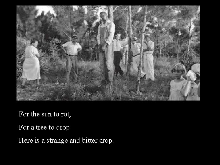 For the sun to rot, For a tree to drop Here is a strange