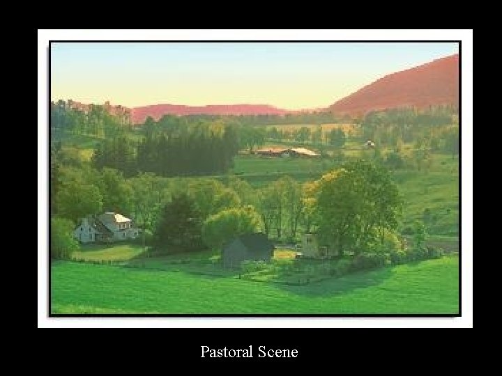 Pastoral Scene 