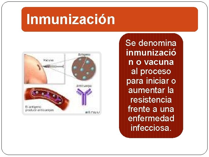 Inmunización Se denomina inmunizació n o vacuna al proceso para iniciar o aumentar la