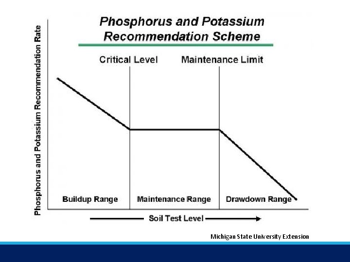 Michigan State University Extension 
