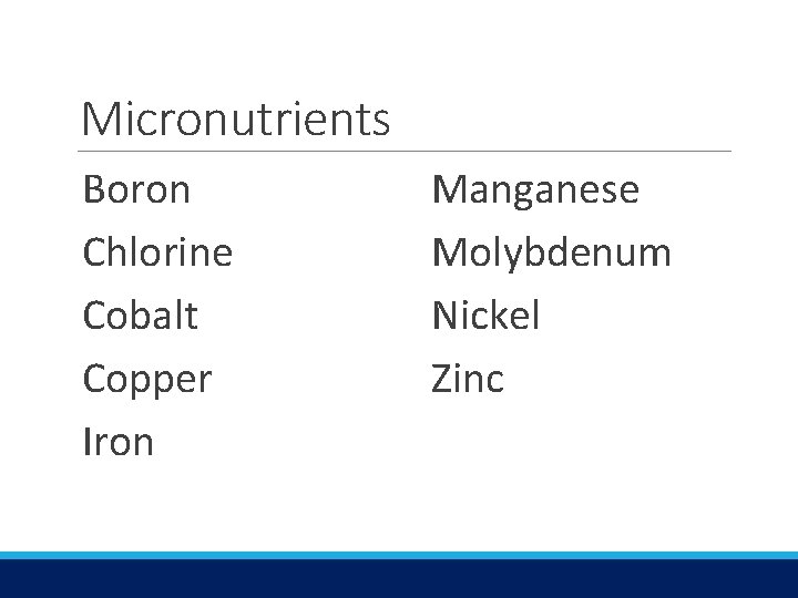 Micronutrients Boron Chlorine Cobalt Copper Iron Manganese Molybdenum Nickel Zinc 