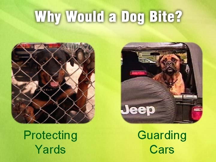 Protecting Yards Guarding Cars 