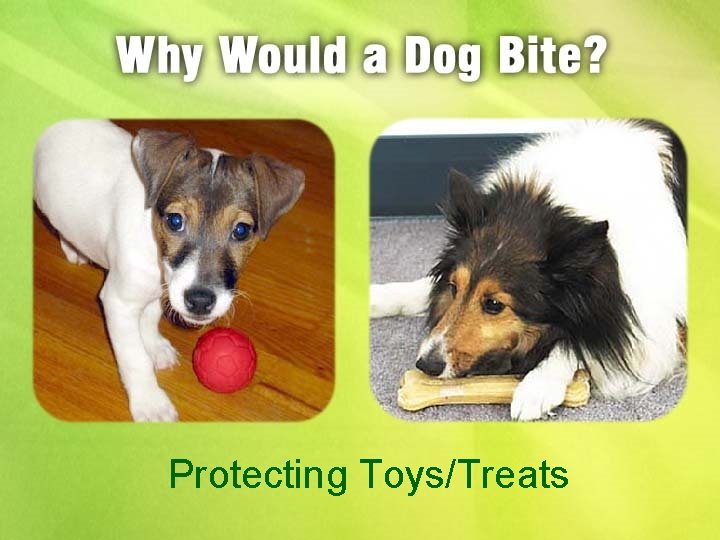 Protecting Toys/Treats 